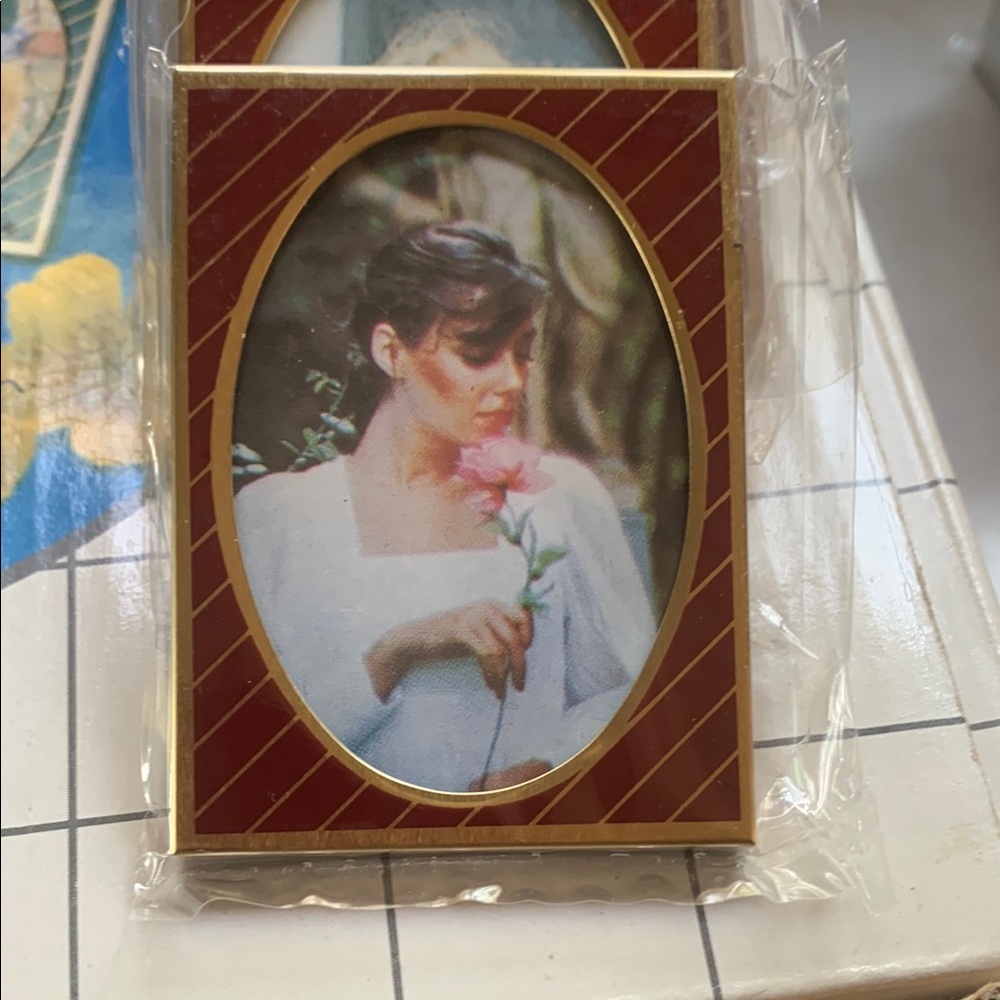 Mini Elegant Red and Gold Striped Photo Frames set/10